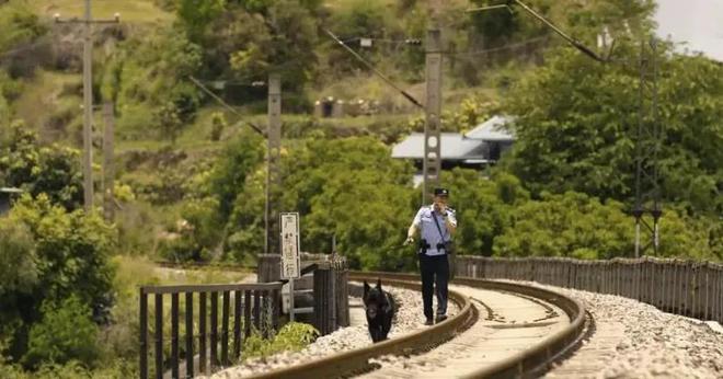 国产剧《棋士》第6《鹊刀门传奇2》第2开元棋牌网站2025年口碑最好的10部(图6) 国产剧《棋士》第6《鹊刀门传奇2》第2开元棋牌网站2025年口碑最好的10部(图6)